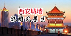 欧洲大鸡巴操小逼视频中国陕西-西安城墙旅游风景区