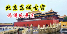 逼逼痒要鸡巴日中国北京-东城古宫旅游风景区